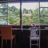 よへなあじさい園の写真・動画_image_928118