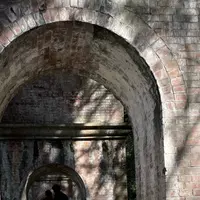 南禅寺の写真・動画_image_928318