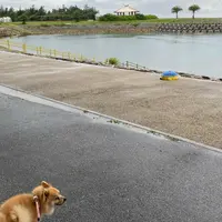 波の上うみそら公園の写真・動画_image_930177