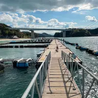 ドルフィンファームしまなみの写真・動画_image_930610