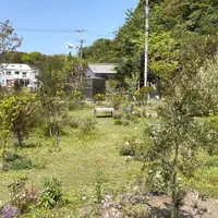 犬島くらしの植物園の写真・動画_image_931352