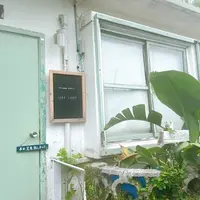 ippe coppeの写真・動画_image_932502