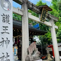 護王神社の写真・動画_image_932551