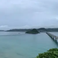 海士ヶ瀬公園の写真・動画_image_932847