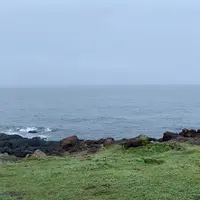 牧崎風の公園の写真・動画_image_932848