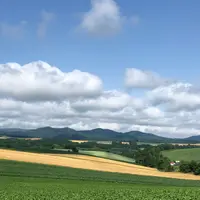 パッチワークの路の写真・動画_image_934632