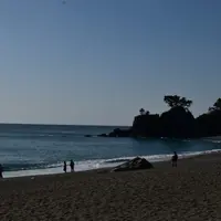桂浜の写真・動画_image_934698