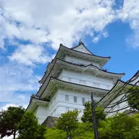 小田原城址公園の写真・動画_image_934731