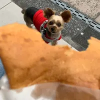 コクリコ・クレープ店の写真・動画_image_935256