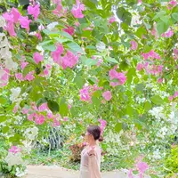 ユートピアファーム宮古島の写真・動画_image_936333