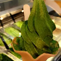 鎌倉茶々の写真・動画_image_942958