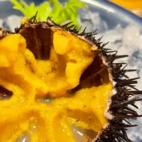 片倉うに屋の写真・動画_image_943137