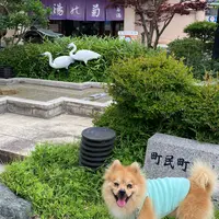 加賀　山中温泉　菊の湯の写真・動画_image_945294