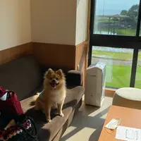 レジーナリゾートびわ湖長浜の写真・動画_image_945722