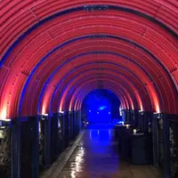 珠洲岬（聖域の岬）の写真・動画_image_945769