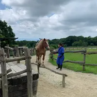 那須高原南ヶ丘牧場の写真・動画_image_948043