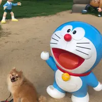 高岡おとぎの森公園の写真・動画_image_948637