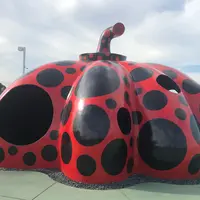 赤かぼちゃの写真・動画_image_949546