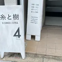 糸と樹の写真・動画_image_951372