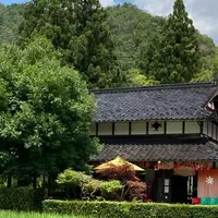 郷土料理 もみじの写真・動画_image_952558
