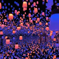 【閉業】森ビルデジタルアートミュージアム：エプソン チームラボボーダレス（MORI Building Digital Art Museum: EPSON teamLab Borderless）の写真・動画_image_954222