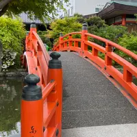 神泉苑の写真・動画_image_954705