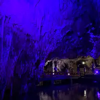 満奇洞の写真・動画_image_955527