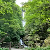 神庭の滝の写真・動画_image_955535