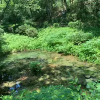 塩釜の冷泉の写真・動画_image_956779