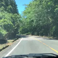 蒜山大山スカイラインの写真・動画_image_956790