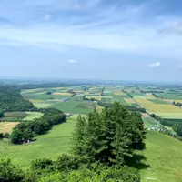 新嵐山スカイパーク展望台の写真・動画_image_956895