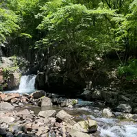 思いの滝の写真・動画_image_957088