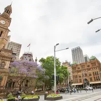 Town hallの写真・動画_image_957439