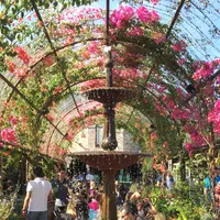 The Grounds of Alexandriaの写真・動画_image_957447