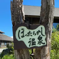ほったらかし温泉の写真・動画_image_959176