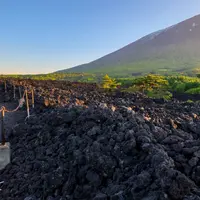 焼き走り溶岩流展望台(宮沢賢治詩碑)の写真・動画_image_960887