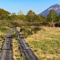 御在所園地・御在所湿原の写真・動画_image_960892