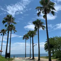 片添ヶ浜海浜公園の写真・動画_image_961161