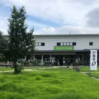 秋保ヴィレッジ アグリエの森の写真・動画_image_961288