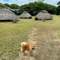 仲原遺跡の写真・動画_image_965685