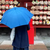 鶴岡八幡宮の写真・動画_image_966301