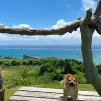 くるくまの森 展望広場の写真・動画_image_967373