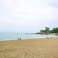 桂浜の写真・動画_image_967395