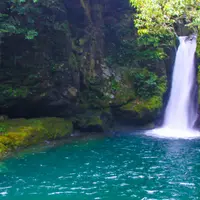 にこ淵の写真・動画_image_967405