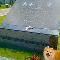 平和祈念公園の写真・動画_image_967613