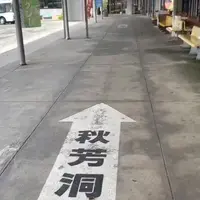 秋芳洞（バス）の写真・動画_image_969897