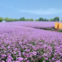 尋夢園香草農場の写真・動画_image_971195