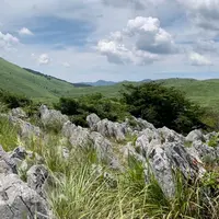秋吉台の写真・動画_image_972358