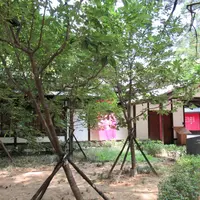 湖畔生活の写真・動画_image_973190