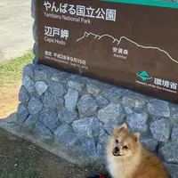 辺戸岬の写真・動画_image_974555